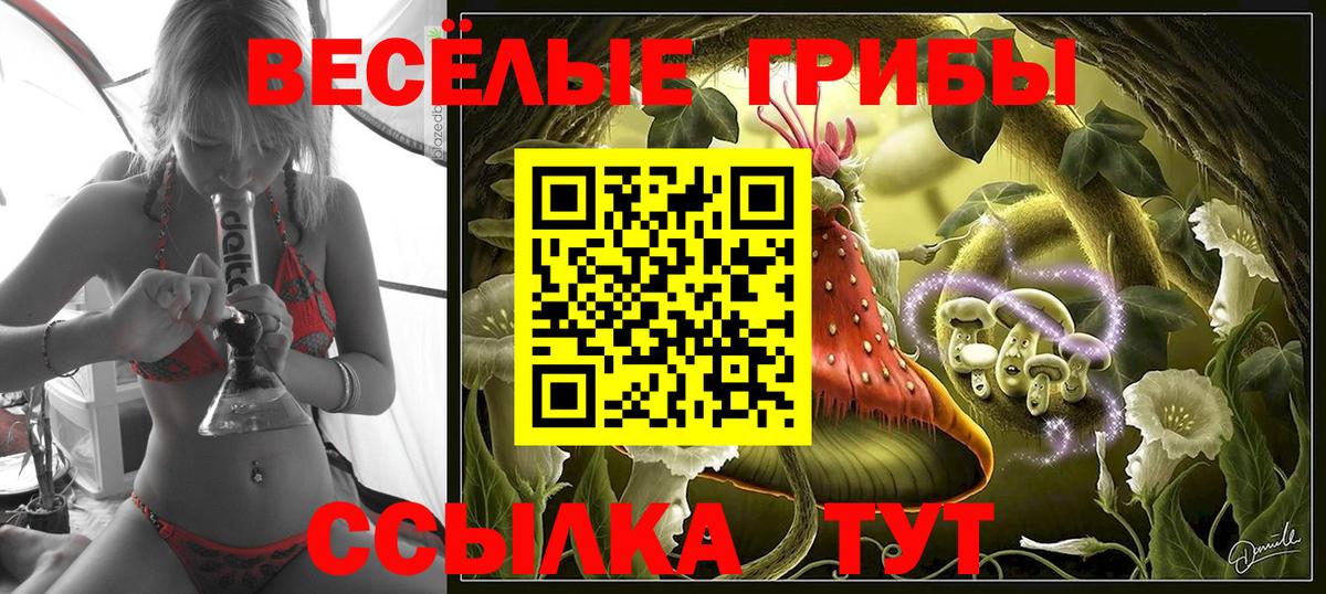 Кудымкар  даркнет сайт  Вход с VPN  Галлюциногенные грибы Cubensis 